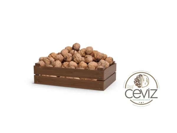 Amerikan Chandler Kabuklu Ceviz